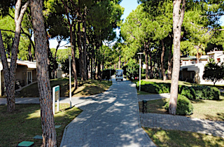 Pine Beach Belek Genel 5